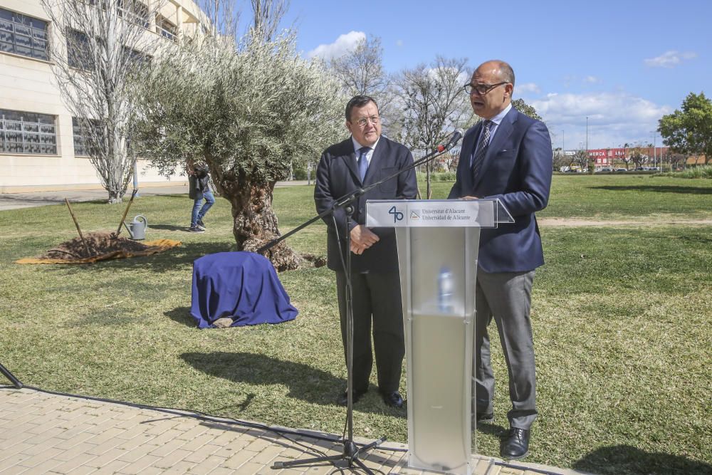 El fundador de Vectalia, Joaquín Arias, recibirá a la Mención Honorífica del Consejo Social de la UA a título póstumo