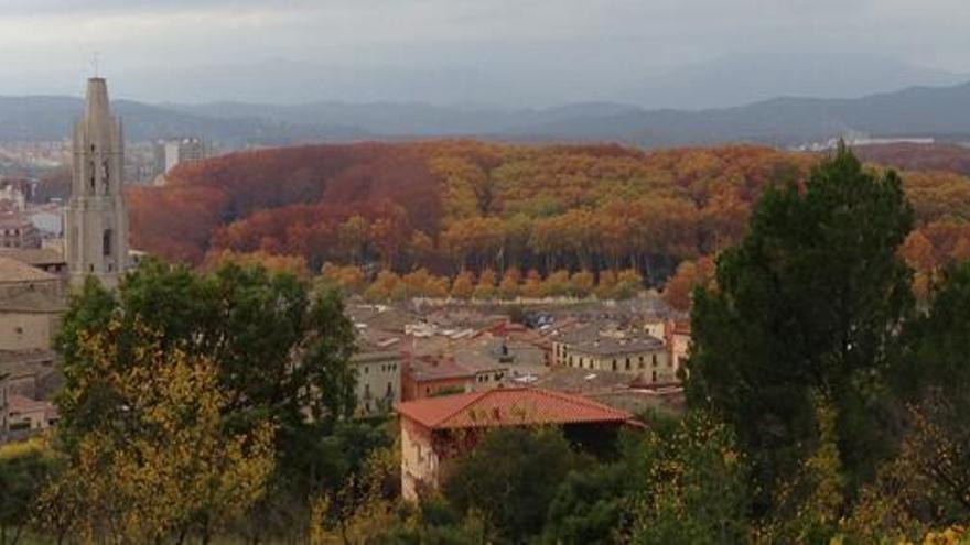 La Devesa de Girona agafa un to torrat de panellet gegant