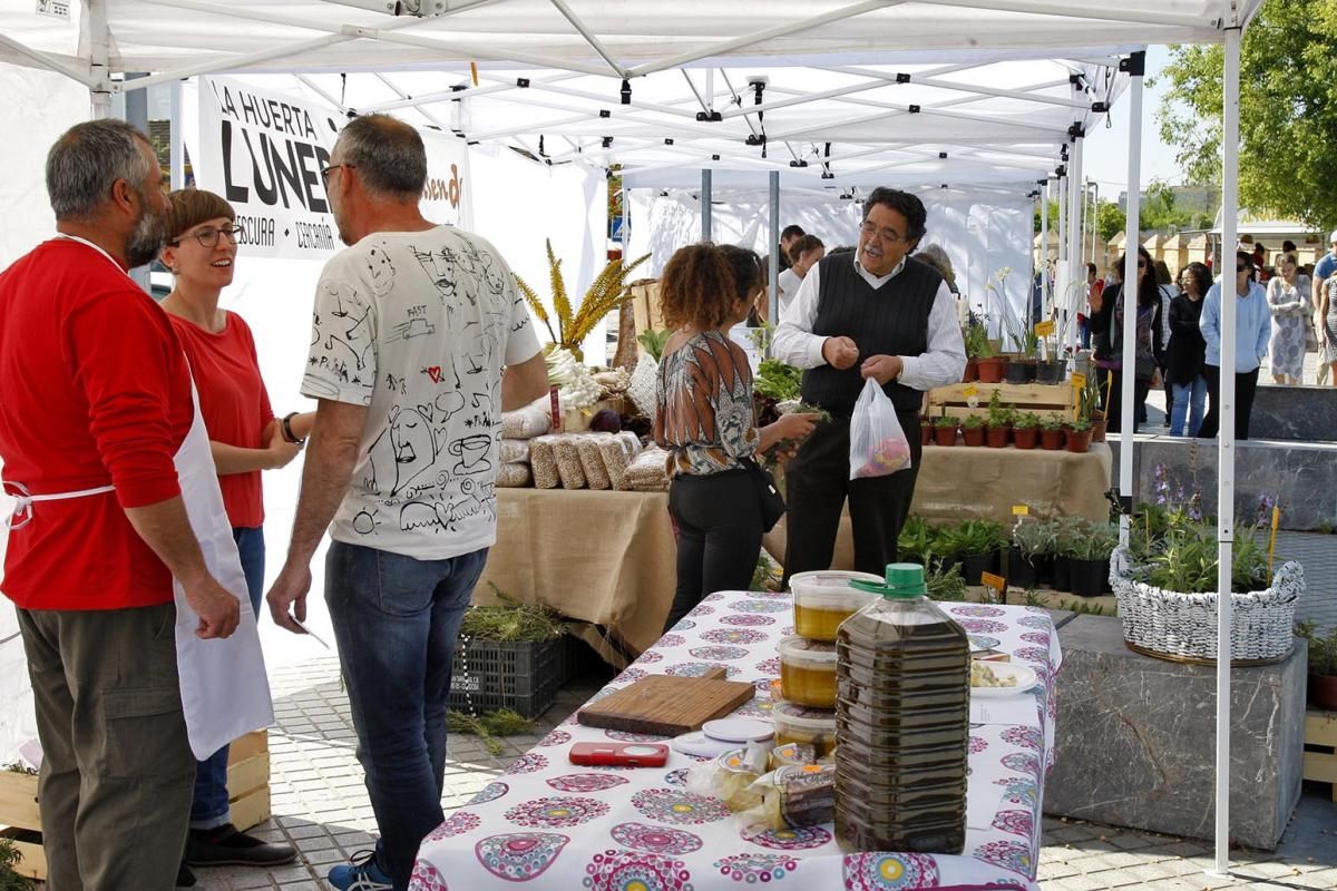 Fotogalería / Ecomercado en La Calahorra