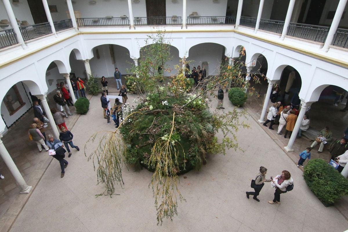 Festival de Flora