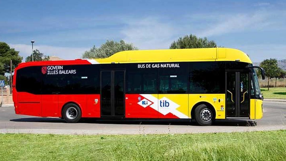 Komfortabel und nachhaltig: einer der neuen Tib-Busse auf Mallorca.