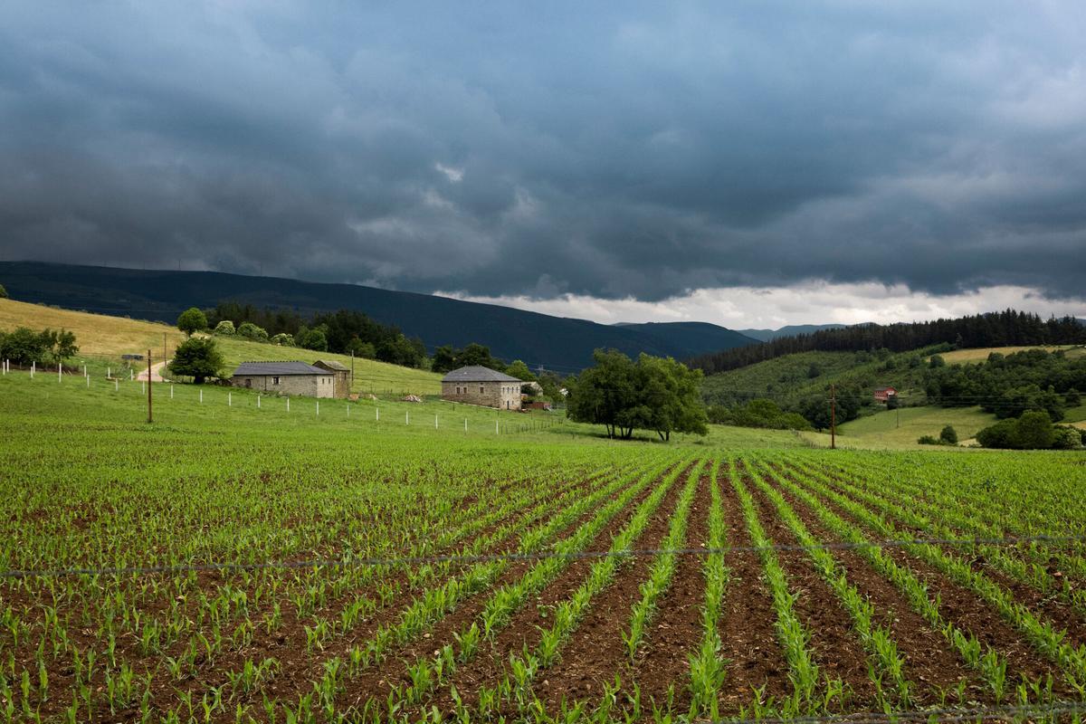 Las ayudas de la Política Agraria Común (PAC) pretenden aportar  mayor estabilidad económica a ganaderos y agricultores