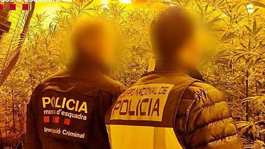 Agents que van participar en l&#039;operatiu en una nau