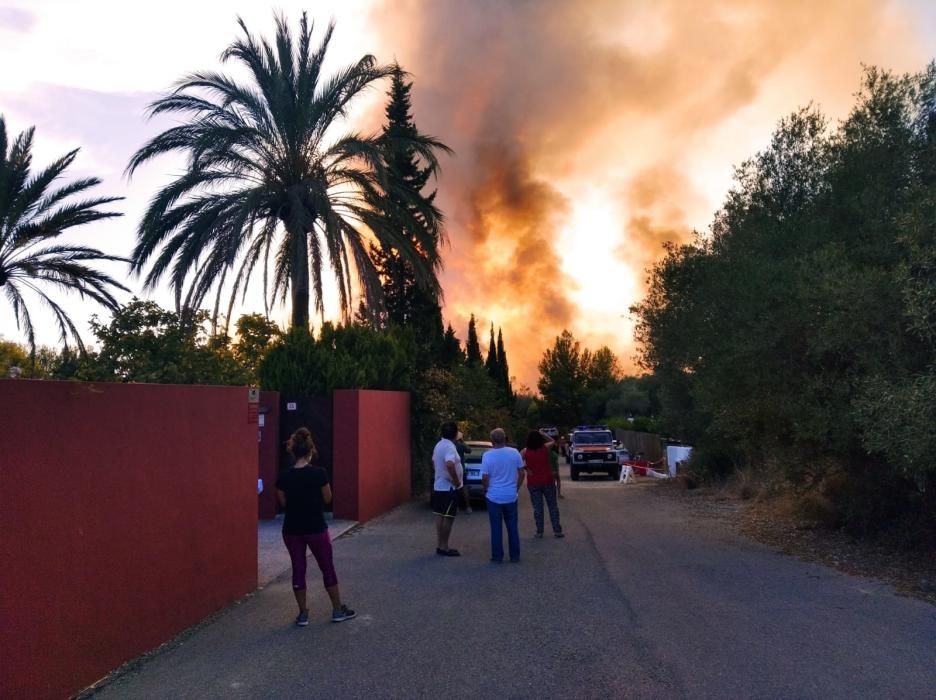 Incendio en la Vall del Montgó de Xàbia