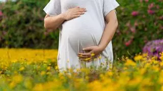 Los nacimientos hasta abril se estabilizan en Galicia tras casi una década de caídas