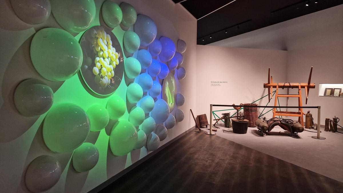 El recién inaugurado Cariñena Wine Museum combina tecnología inmersiva y proyecciones 360º para experimentar la cultura vitivinícola de la zona.