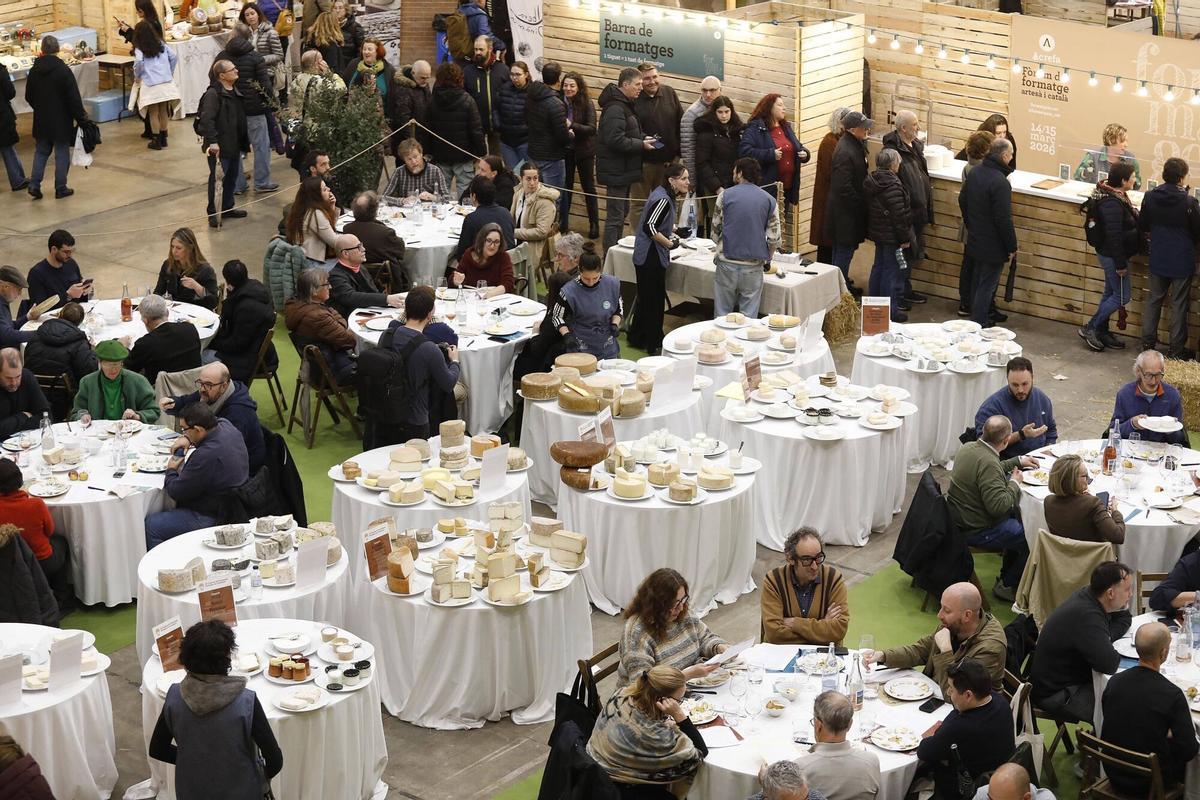 Les millors imatges del Formatgem!, el fòrum del formatge  artesà i català de Girona