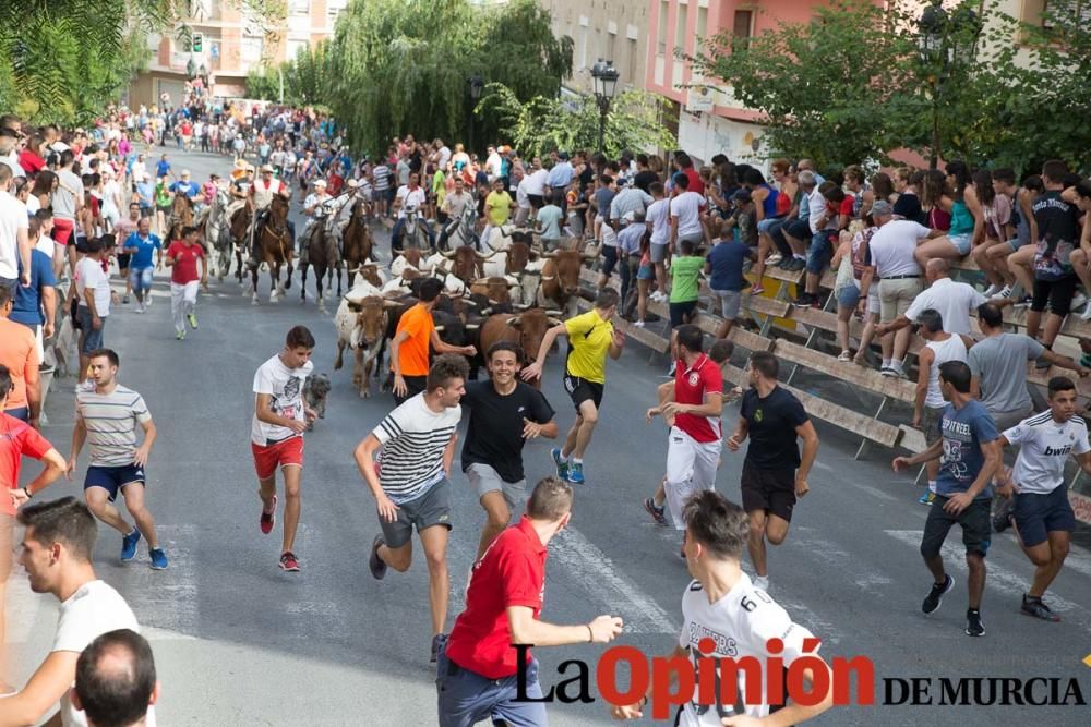 Séptimo encierro en Moratalla