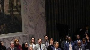 El Consell de Seguretat de l’ONU aprova el pla de Trump per a Gaza
