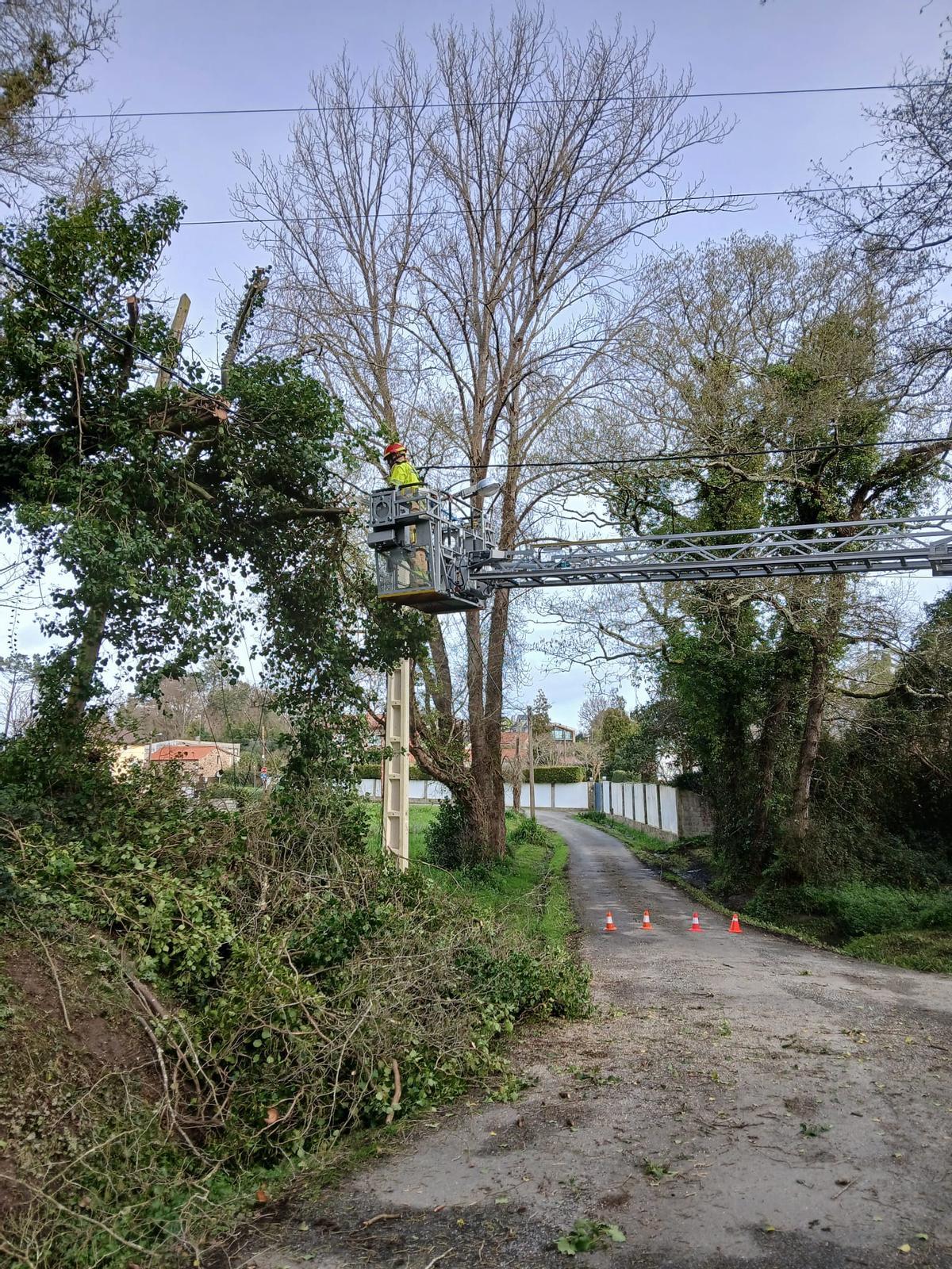Retirada de árboles derribados en Oleiros tras el paso de la borrasca 'Nils' Retirada de árboles derribados en Oleiros tras el paso de la borrasca 'Nils'