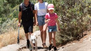Cinc consells per a unes vacances actives