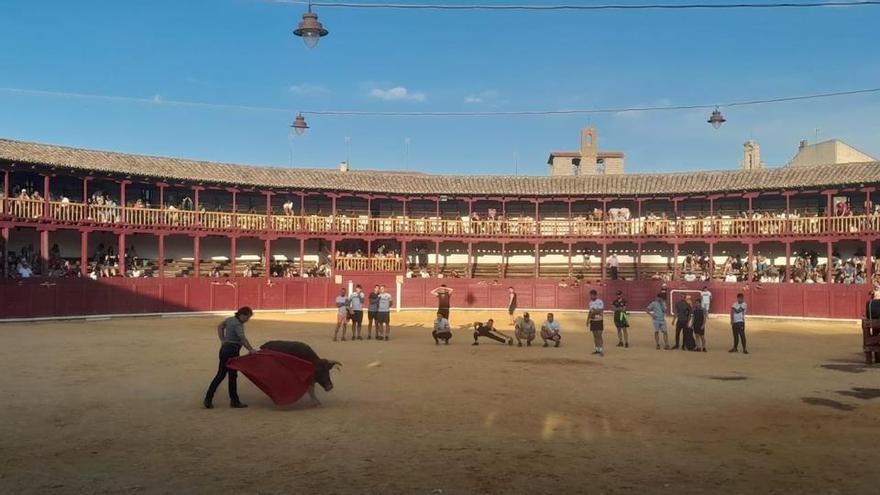 "Infracción" en la contratación de la feria taurina de San Agustín en Toro: esto es lo que ha pasado
