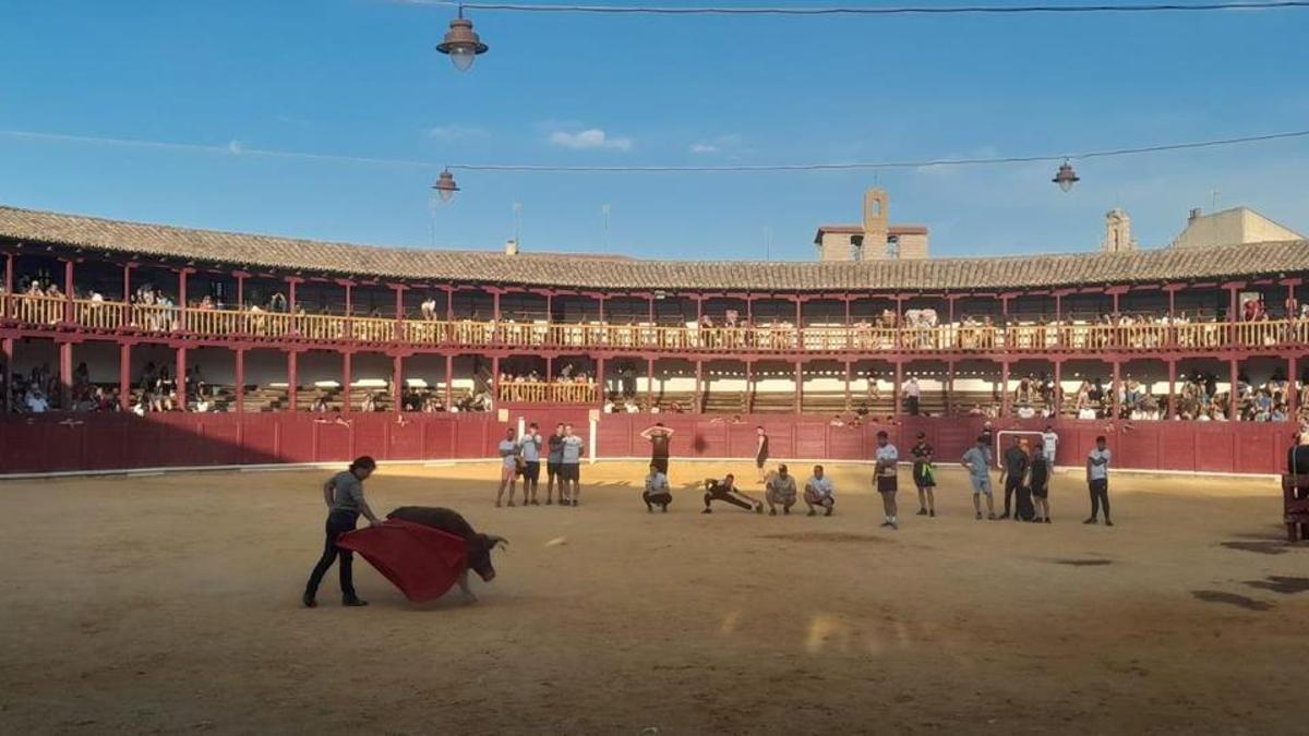Fiestas de San Agustín en Toro, en 2025.