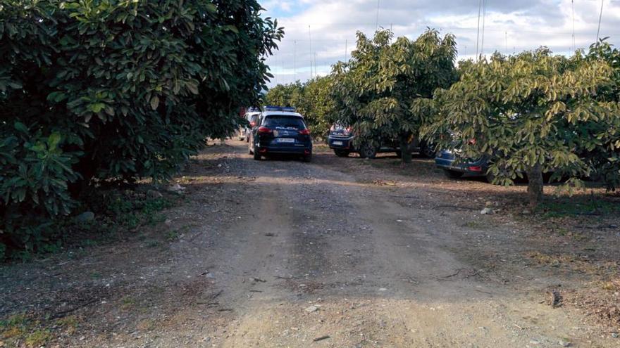 La finca en la que se ha estrellado la avioneta.