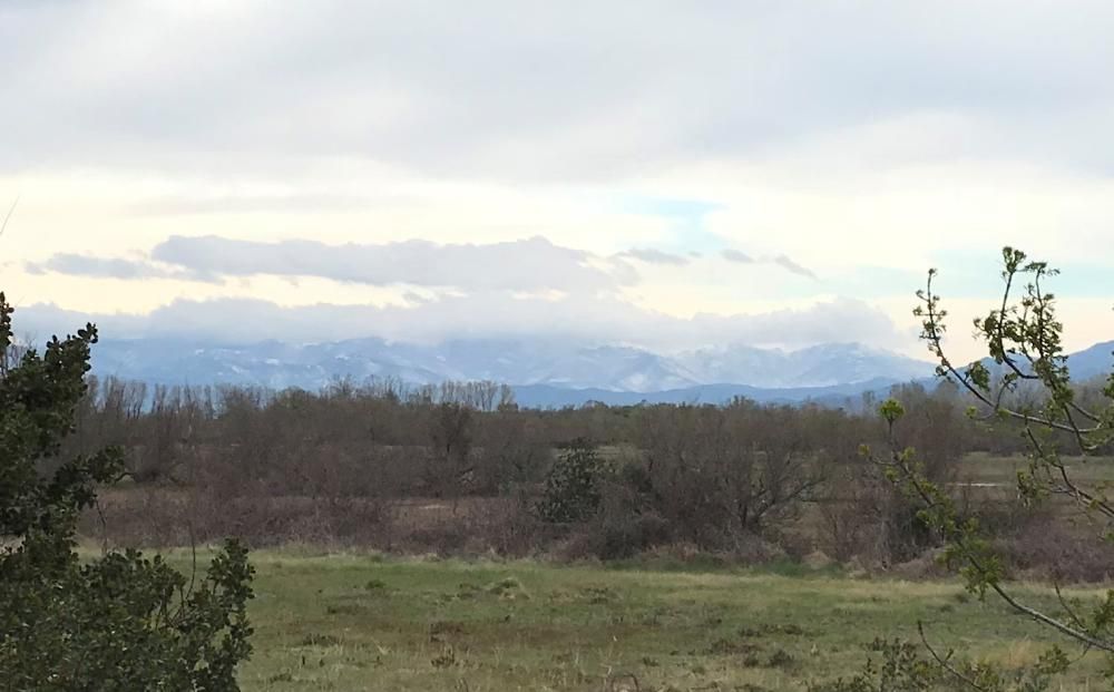 La serra de l'Albera