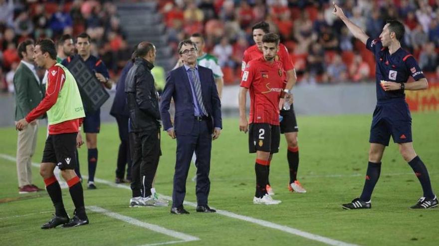 Fernando Vázquez, en la zona técnica del Mallorca, durante un momento del partido. // Diario de Mallorca