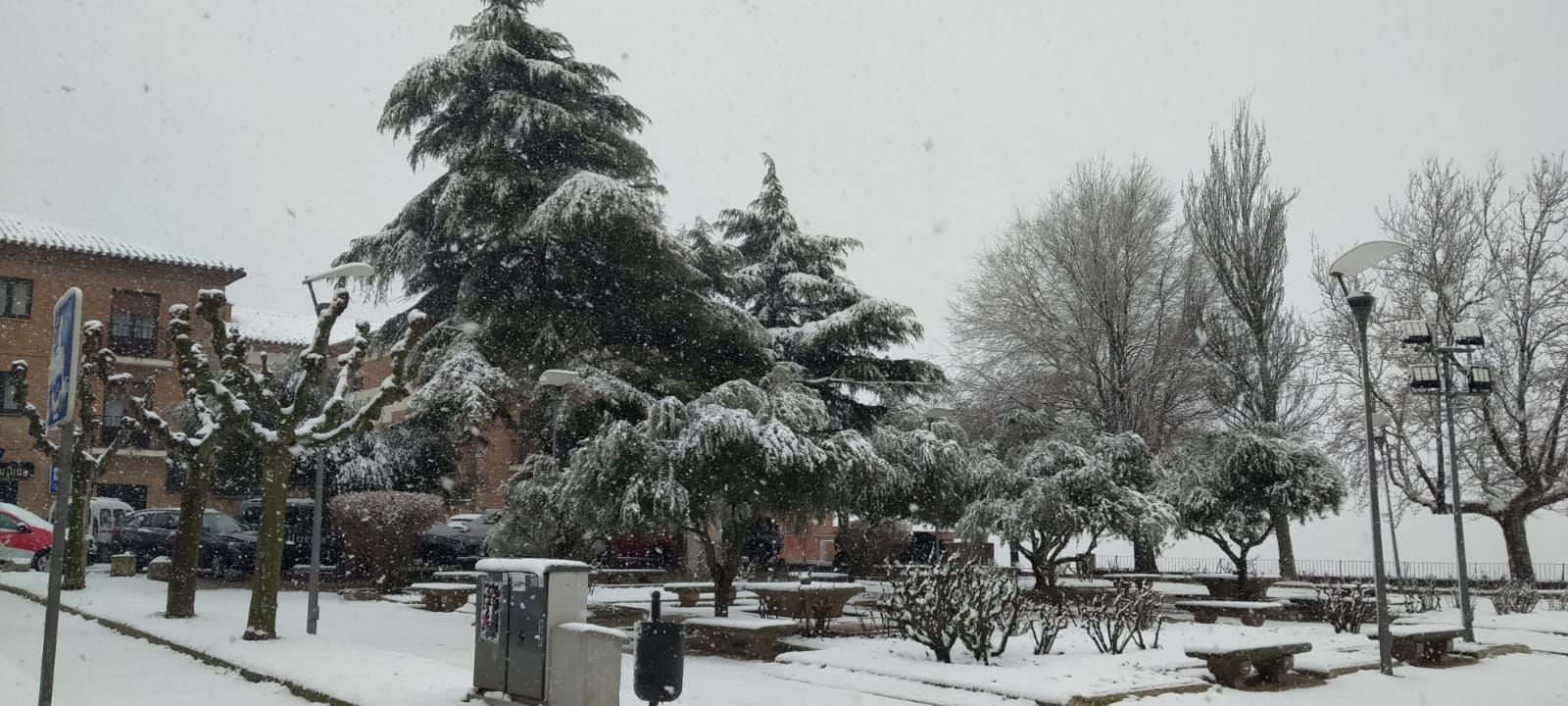 GALERIA | Así ha vivido Toro la nevada de hoy