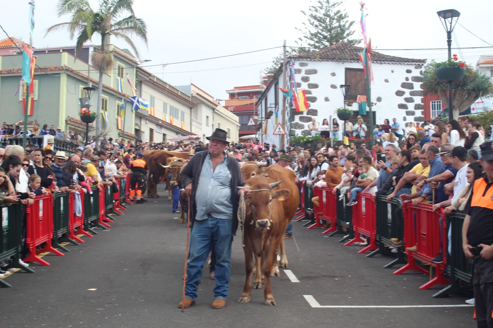 Romería de San Antonio Abad, en La Matanza