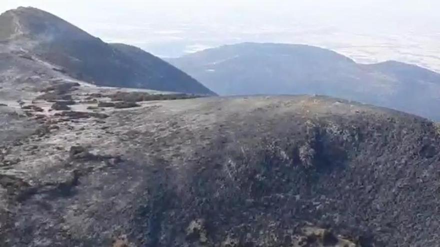 Así está la zona quemada en Loporzano, en la Sierra de Guara