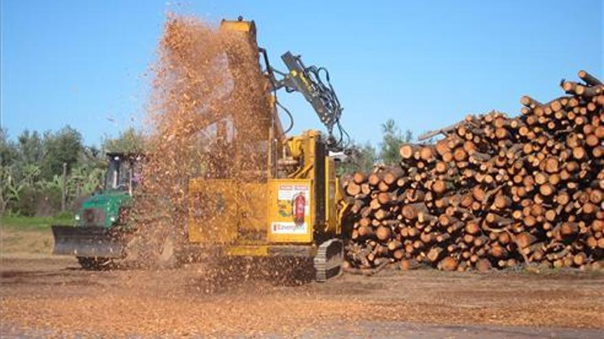 La Junta incentiva cerca de 23.000 proyectos de biomasa