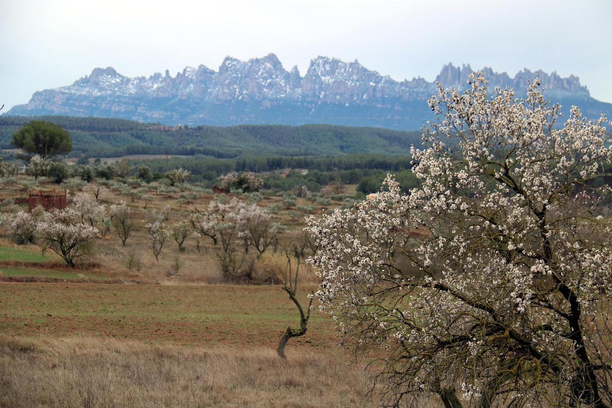 Cataluña, cubierta de blanco por la nieve