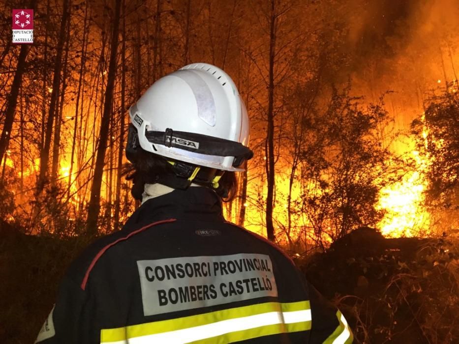 Incendio forestal en Artana