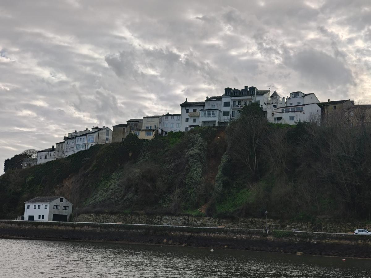 WhatsApp Image 2026-02-08 at 16.45.47