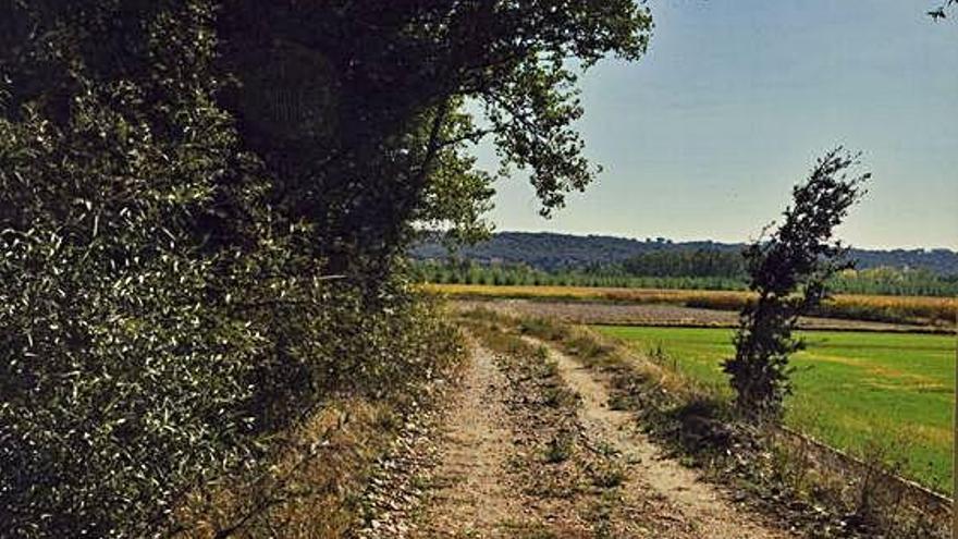 A la izquierda a derecha y de arriba abajo, vista parcial con el Reguero, iglesia, el Caño, el pueblo y las choperas, plano de nuestra ruta y vista panorámica de la vega.