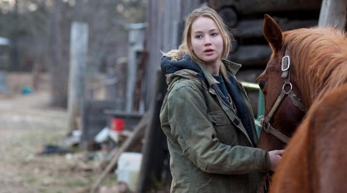 Winters bone
