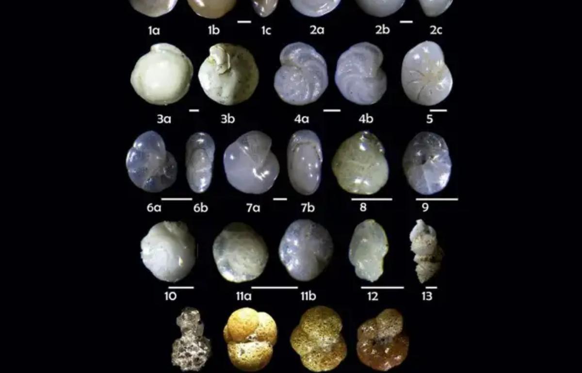 El clima está alargando los días de la Tierra.