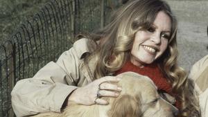 "La meva admiració per Brigitte Bardot, decidida defensora dels drets dels animals"