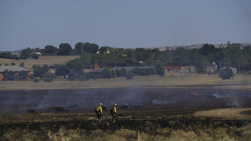 El incendio de Morales del Vino quema 23 hectáreas agrícolas