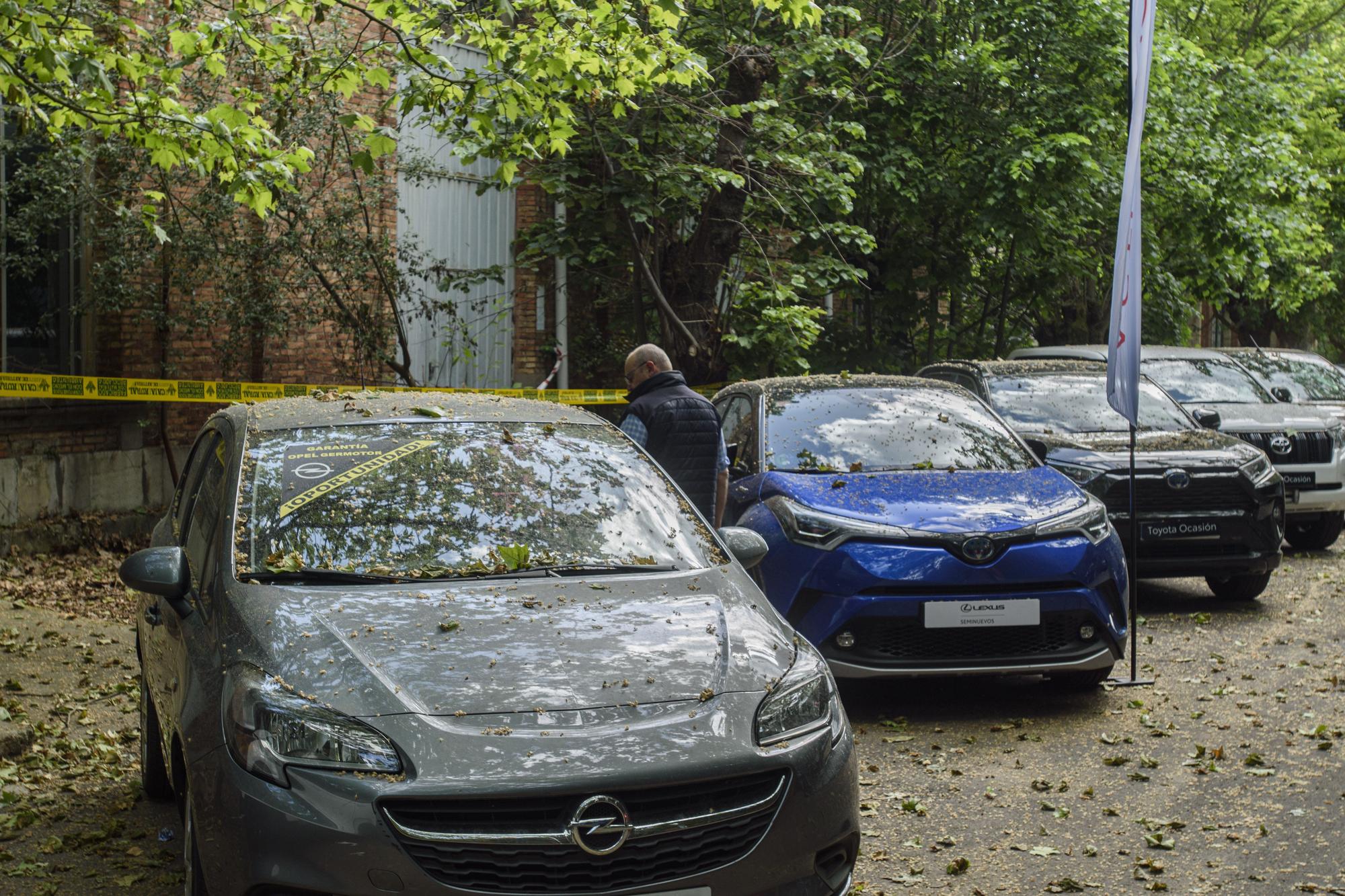 EN IMÁGENES: Así fue la Feria del Automóvil de la Vega en Oviedo