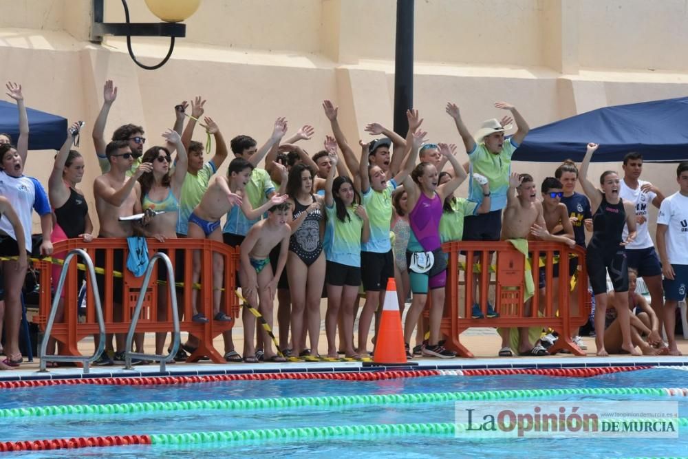 Final del Campeonato regional de natación.