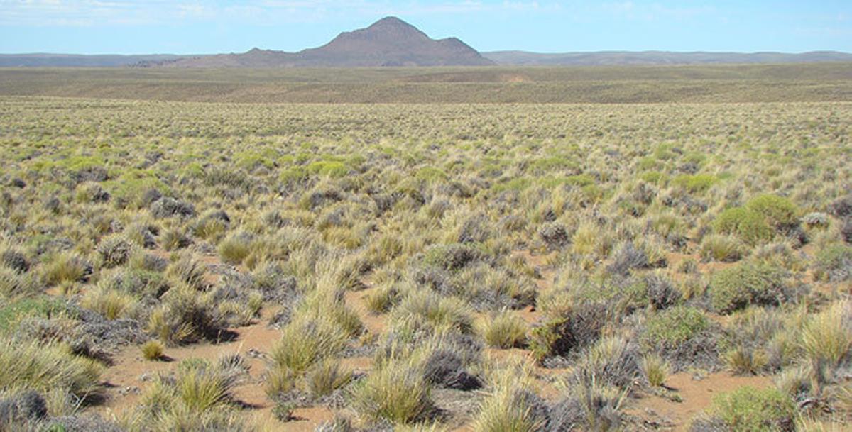 La UA participa en una investigación que identifica los hongos dominantes en los suelos del planeta