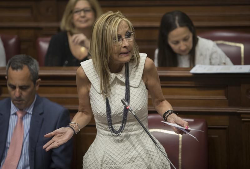 Pleno en el Parlamento de Canarias (21/06/2017)