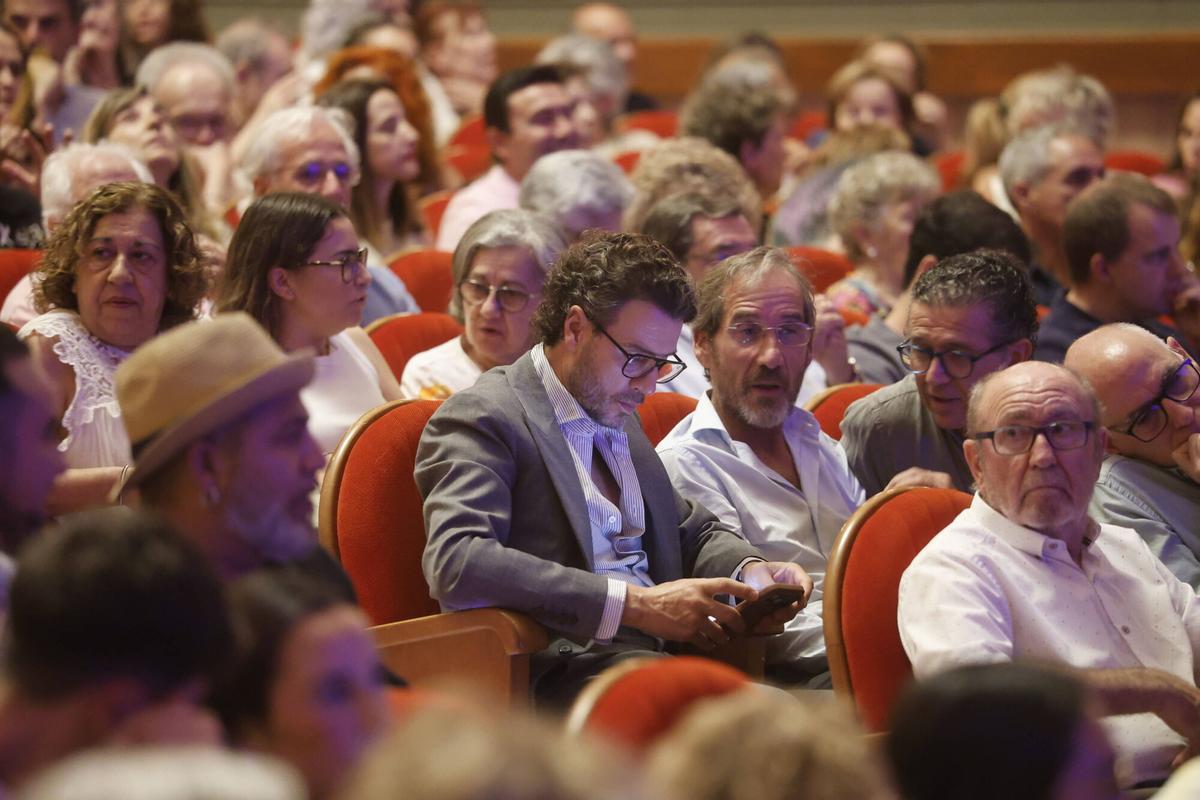 El concierto de Vicente Amigo, en imágenes
