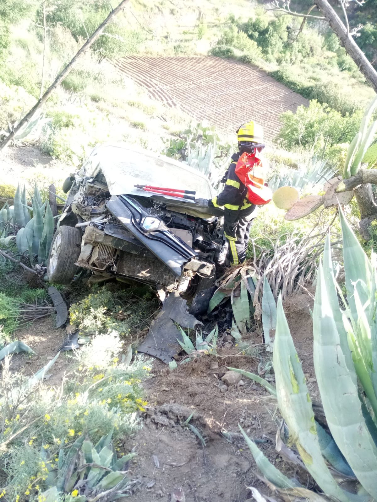 Se queda dormido y se cae por una ladera en Tejeda