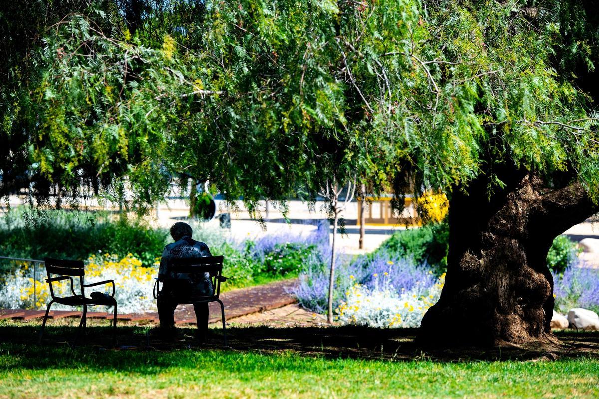 Zona de sombra en el parque de Rosa Sensat de Cornellà de Llobregat