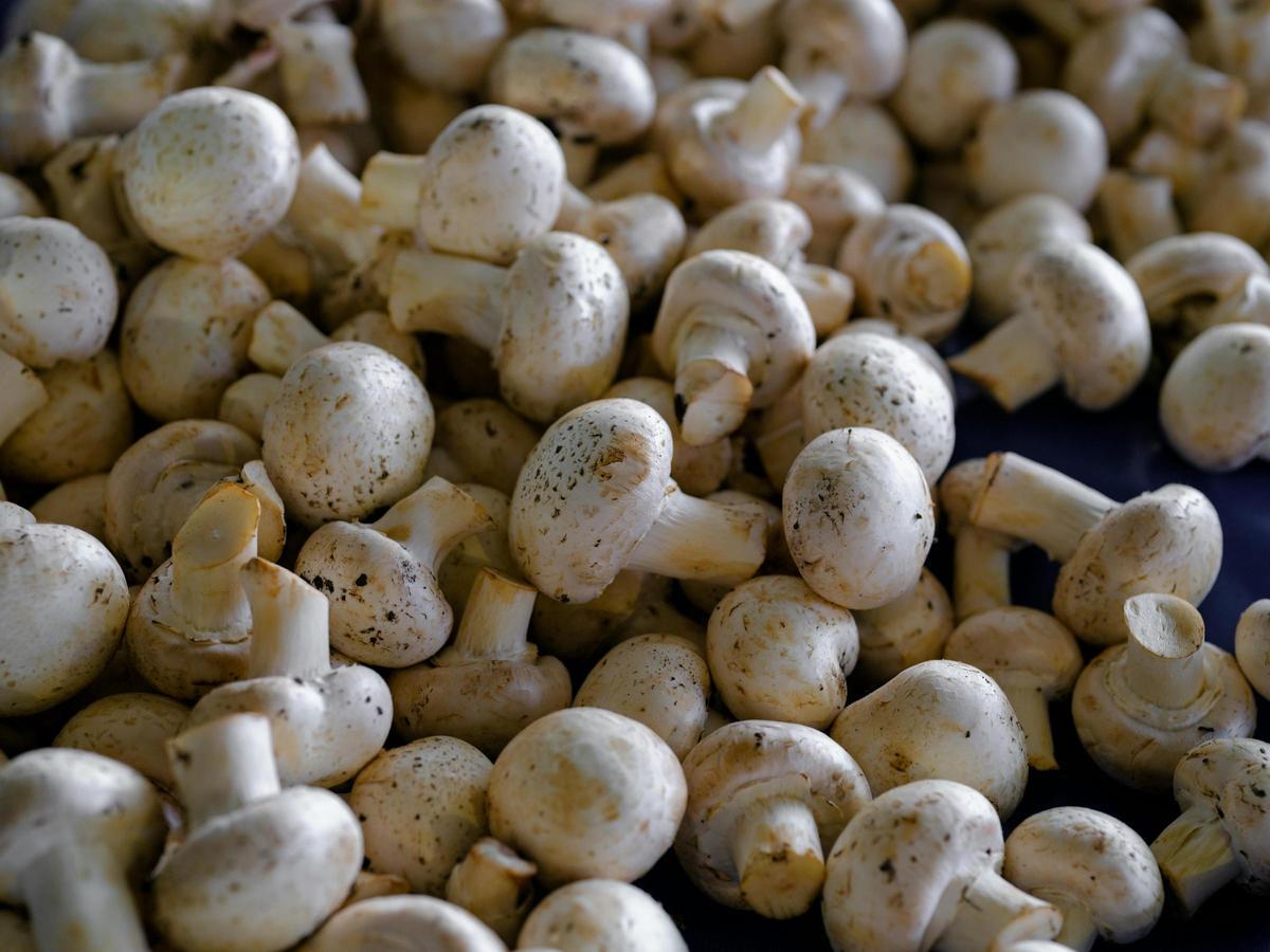 Cómo limpiar champiñones sin agua.