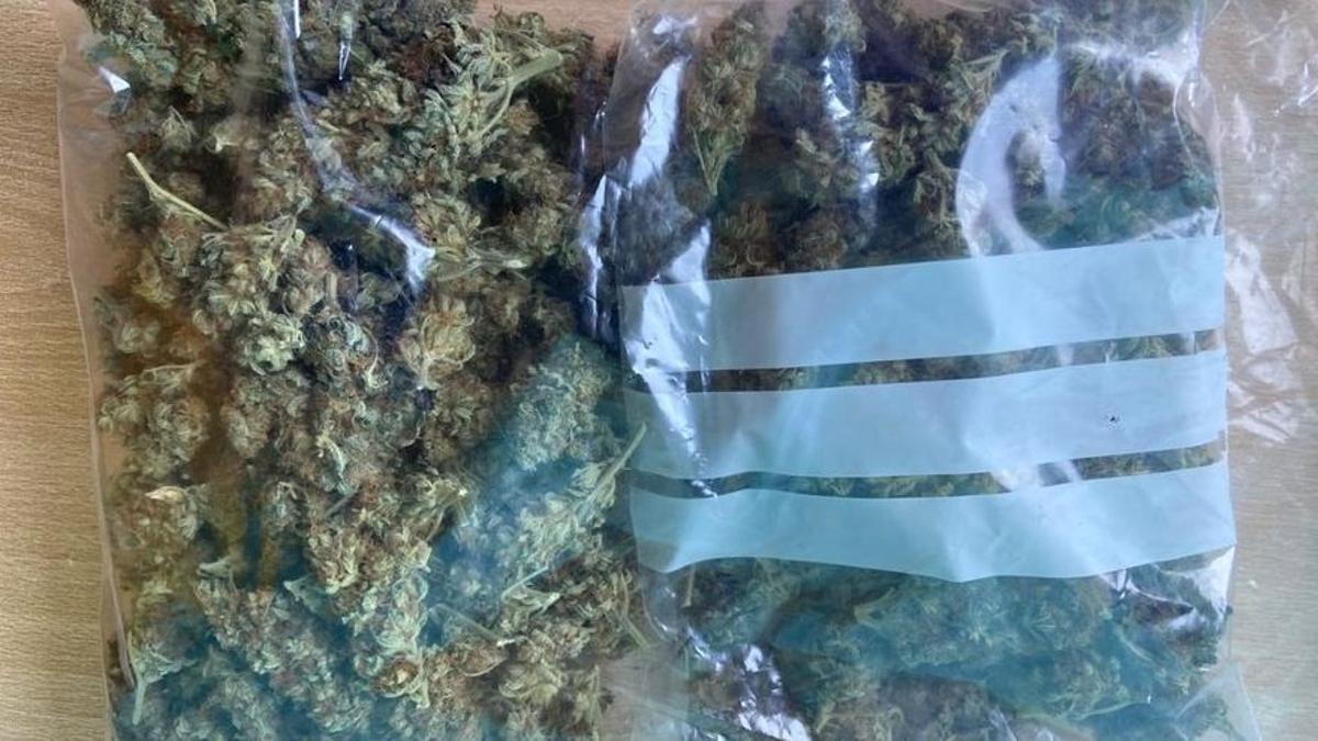 100 gramos de marihuana en dos bolsas de 50g. Es la máxima cantidad de droga que se sanciona como falta administrativa.