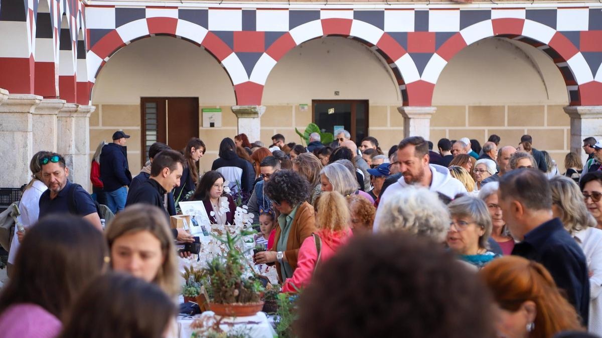 Público en el primer mercado de las flores, que se celebra en la plaza Alta de Badajoz, este sábado.