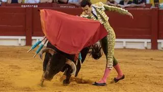 La Generalitat propone inyectar 52.000 euros a la empresa que organiza la feria taurina de Hogueras en Alicante tras una sentencia judicial