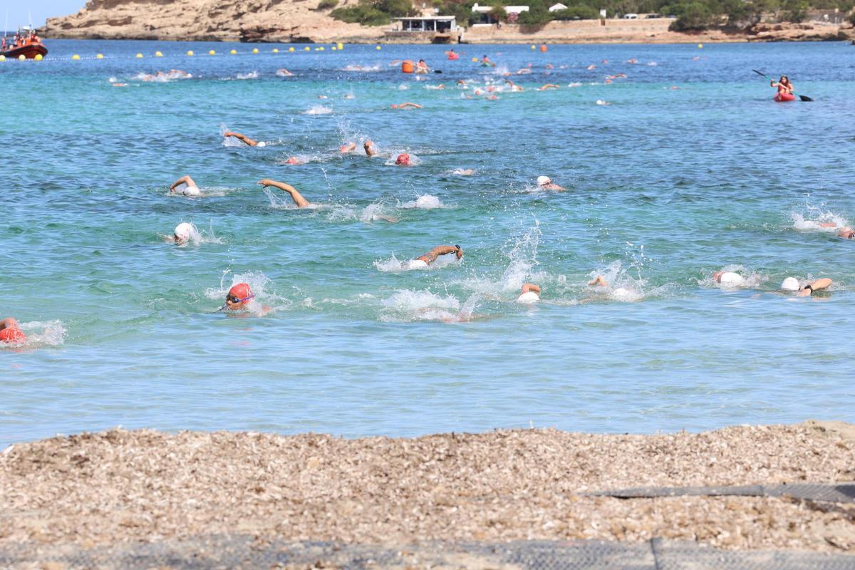 Galería: imágenes de la X edición de la Travesía Canal de Sant Antoni