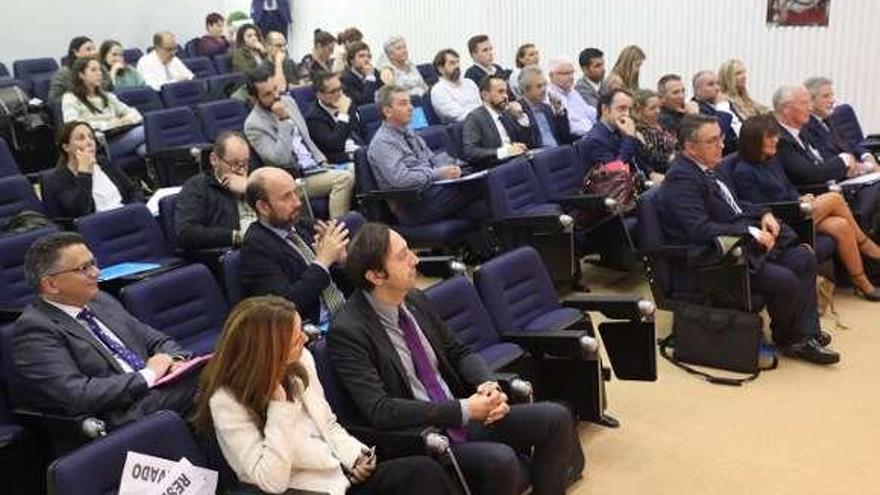 Profesionales en la jornada, celebrada en Santiago. // Xoán Álvarez