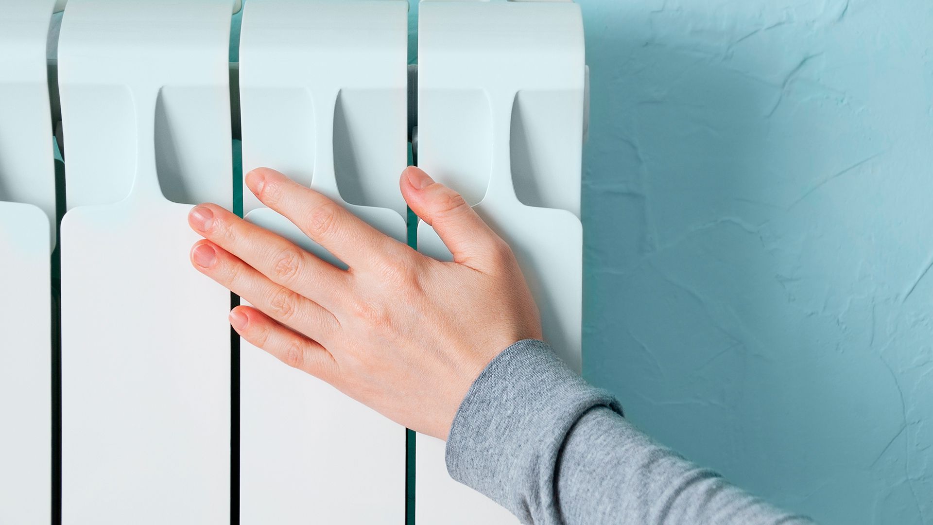 Lidl tiene la solución más sencilla y económica para aislar las puertas de  tu casa y evitar que entre el frío