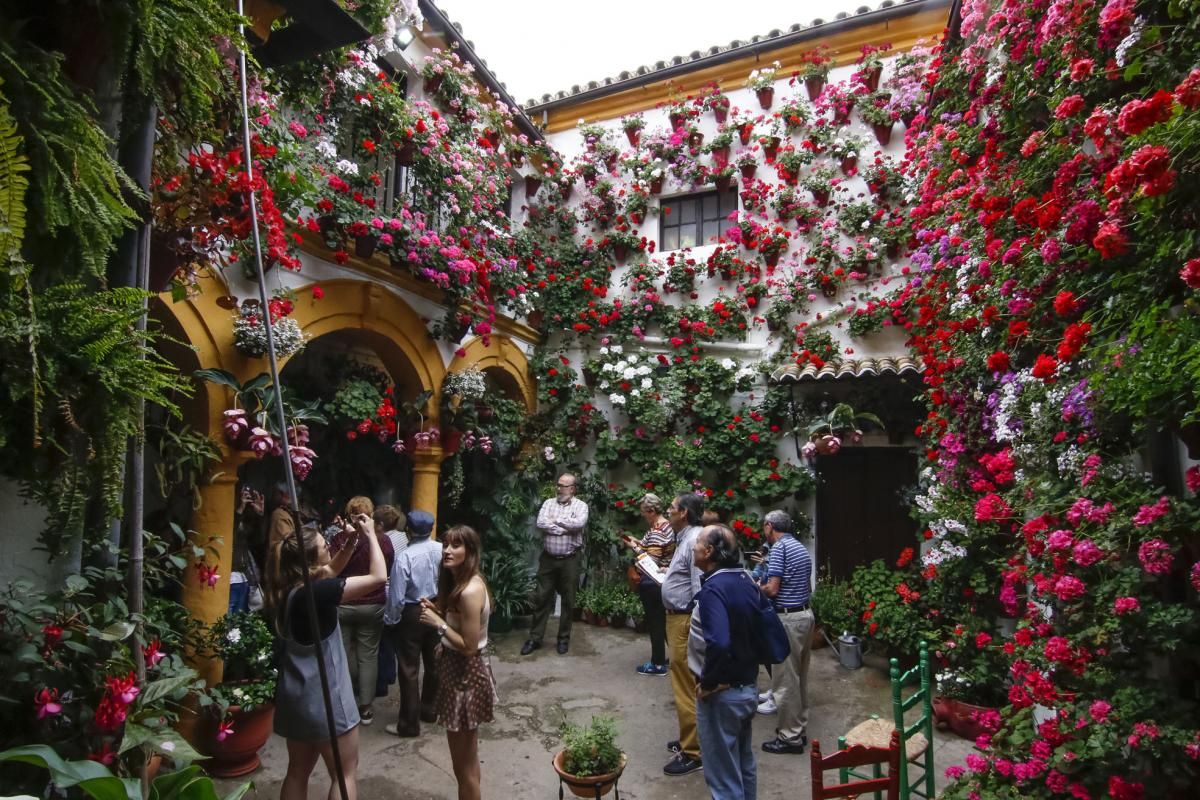 Paseando por el Alcázar Viejo