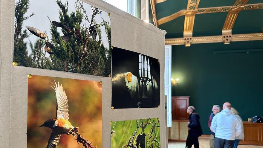 En imágenes: la exposición de fotografías de Raúl García, en Luarca