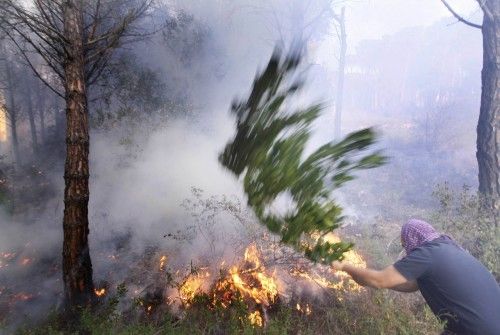 Incendi forestal a peu de les Gavarres