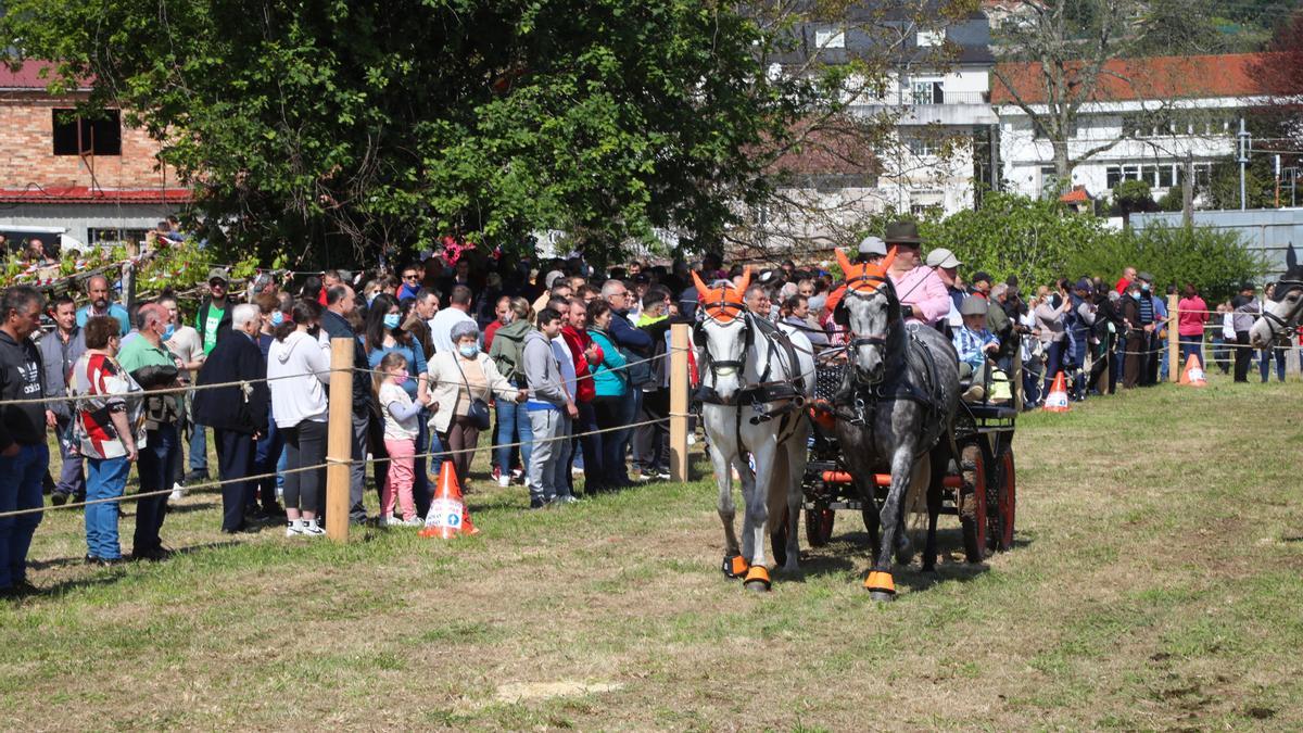 Una de las pruebas de la Feria de Caballos de San Bartolomé.